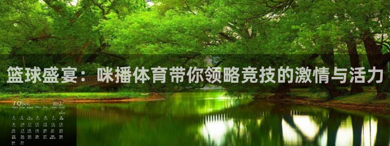 柠檬直播nba体育：篮球盛宴：咪播体育带你领略竞技的激情与活力