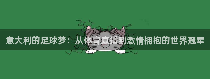 柠檬直播足球免费观看：意大利的足球梦：从体育直播到激情拥抱的世界冠军