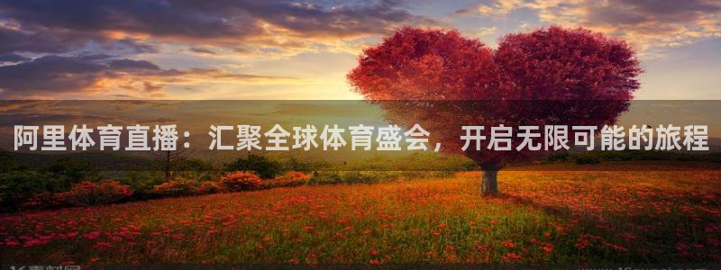 柠檬体育在线观看：阿里体育直播：汇聚全球体育盛会，开启无限可能的旅程