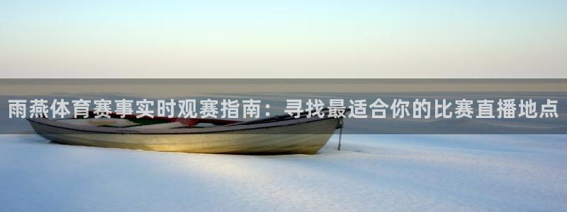 柠檬nba篮球免费直播：雨燕体育赛事实时观赛指南：寻找最适合你的比赛直播地点