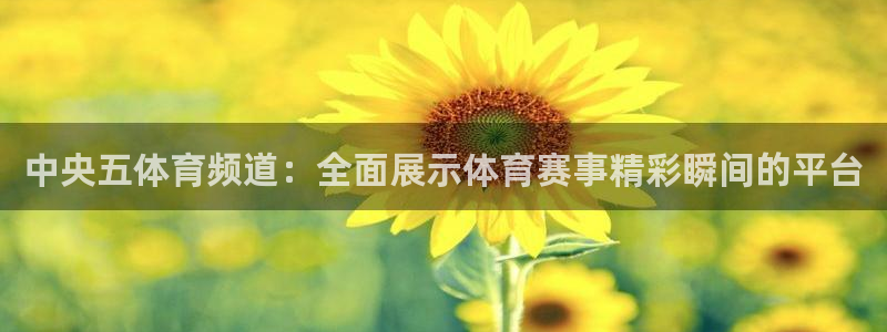 柠檬足球nba直播：中央五体育频道：全面展示体育赛事精彩瞬间的平台