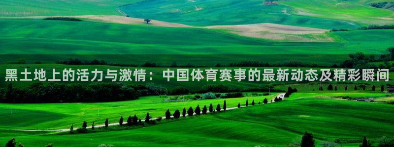 柠檬体育直播网是哪个：黑土地上的活力与激情：中国体育赛事的最新动态及精彩瞬间