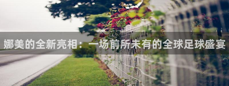 柠檬直播平台：娜美的全新亮相：一场前所未有的全球足球盛宴