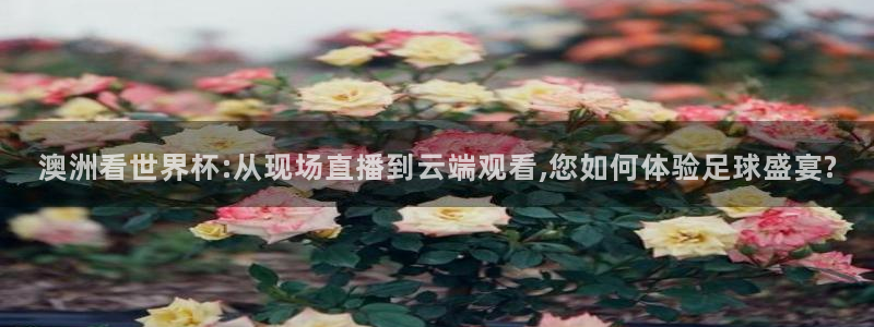 柠檬直播tv：澳洲看世界杯:从现场直播到云端观看,您如何体验足球盛宴?