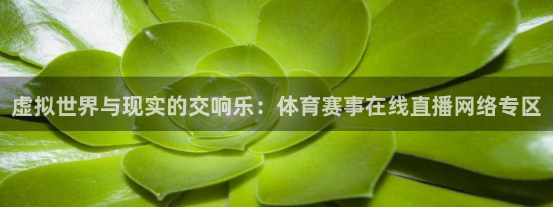 柠檬nba直播在线观看免费：虚拟世界与现实的交响乐：体育赛事在线直播网络专区