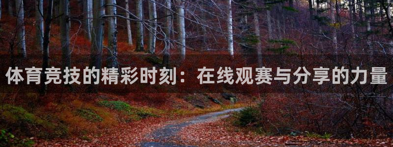 jrs柠檬体育：体育竞技的精彩时刻：在线观赛与分享的力量