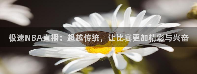 篮球柠檬直播：极速NBA直播：超越传统，让比赛更加精彩与兴奋