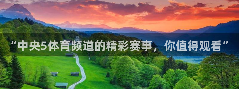 柠檬体育网：“中央5体育频道的精彩赛事，你值得观看”